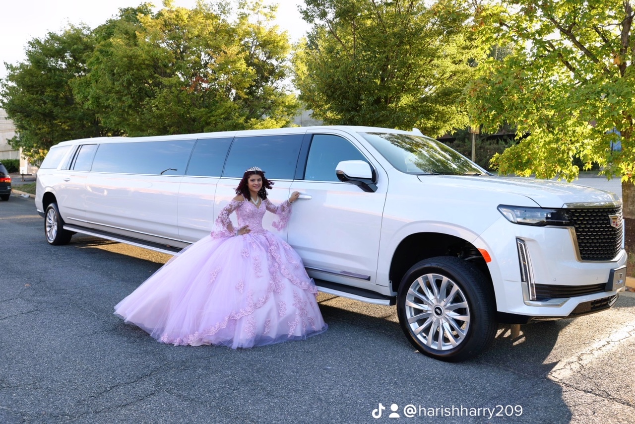 beautiful girl and a white limousine 2